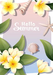Summer background with frangipani flowers, sea shells, clams, starfish. Postcard, banner, flyer with plumeria.