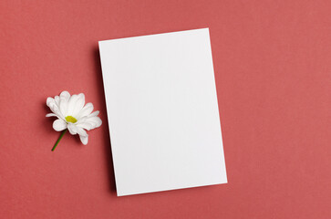Blank paper greeting or invitation card mockup with white daisy flower
