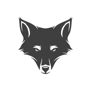Fox aggressive wild mammal animal dangerous predator head vintage icon design vector