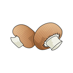 Semi-realistic vectorial illustration of Mushroom on transparent background