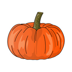 Semi-realistic vectorial illustration of pumpkin on transparent background