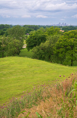 On top of Cahokia Mounds State Historic Site