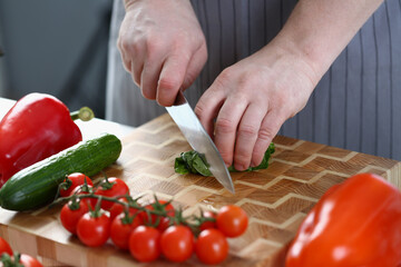 Male hands cut green fragrant leaf of sorrel or lettuce. Cutting vegetables for salad with sharp knife