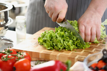 Chef in an apron cuts vegetables and green salad. Concept of environmentally friendly products for cooking