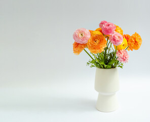 Multicolored bouquet of ranunculus on a white background
