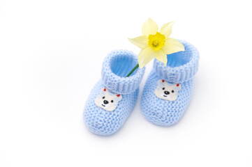 Top view. A pair of handmade blue knitted baby socks and yellow daffodil flower, isolated on white background. Newborn clothing and fashion. Expecting a baby. Pregnancy Copy advertising space for text