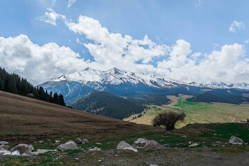 Fototapeta premium Kyrgyzstan mountains
