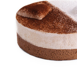 Traditional italian dessert tiramisu on white plate