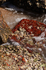 Ilha Bela, São Paulo - Brazil.