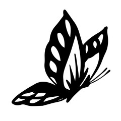 Vector illustration of beautiful black butterfly with wing on white color background. Flat line art style design of butterfly