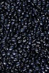 Black kidney bean (Black Turtle Beans)