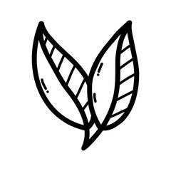 Leaf of tree. Vector doodle illustration. Plant.