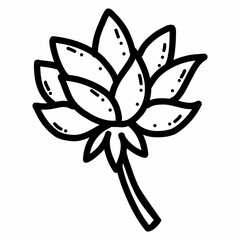 Lotus flower. National plant of India. Vector doodle illustration.Hand drawn sketch.