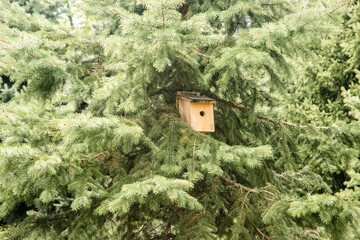 Wooden birdhouse between coniferous tree branches