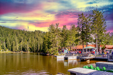 Schwarzwald am Mummelsee, Deutschland 