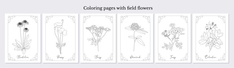 Coloring pages with hand drawn field flowers. Hobby printable template. Line art wild flowers. Vector illustration