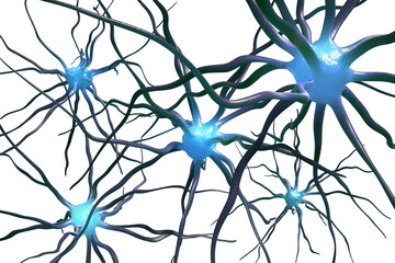Brain neurons 3D illustration. Neural connections inside the human brain. Mind abilities