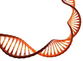 DNA helix 3D illustration. Science, education, research. Human genome, genetic engineering