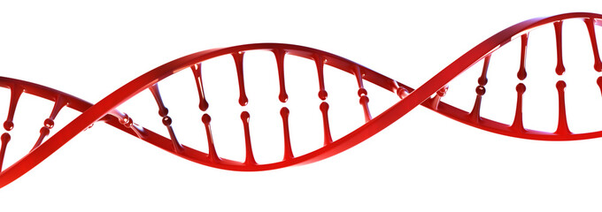 DNA helix 3D illustration. Science, education, research. Human genome, genetic engineering