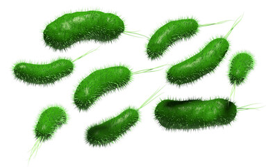 Fototapeta na wymiar Intestinal bacteria 3D illustration. Intestinal microflora, benefits and harms. Healthy lifestyle