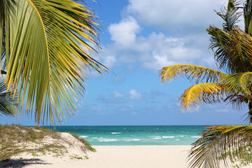Picturesque view to tropical beach with white sand and coconut palm trees. Tourist resort on Caribbean island