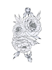 Black and white peonies bouquet graphic hand drawn on isolated background. Arrangement of flowers with leaves in sketch style for coloring and tattoo. Outline composition for postcards.