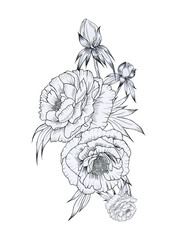 Black and white peonies bouquet graphic hand drawn on isolated background. Arrangement of flowers with leaves in sketch style for coloring and tattoo. Outline composition for postcards.