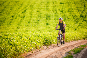 Fototapeta na wymiar Young cyclist cycling in the spring meadow