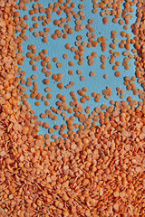 Lens culinaris is scientific name of Turkish Red Lentil legume. Also known as Lentilha Vermelha (portuguese). Top view of grains in a glass. White and blue background.