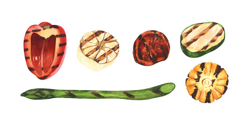 Watercolor falling grilled vegetable slices barbecue, kitchen tools for cooking bbq. Hand-drawn illustration isolated on white background. Perfect for menu cafe, restaurant, kit barbecue