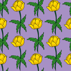 Seamless pattern with trollius on a lilac background. Beautiful flowers. Vector image.