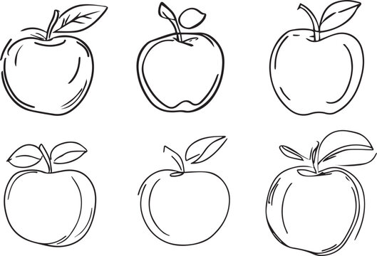set of apples line art sketch on white background