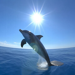 Fototapeta premium cute dolphin flying in the sky