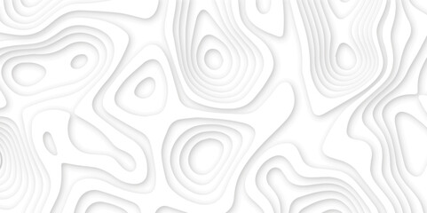 Obraz premium Abstract wavy line 3d paper cut white background. Topographic canyon geometric map relief texture with curved layers and shadow. Abstract realistic papercut decoration textured with wavy layers 