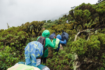 Hikers at Mount Longido on an overcast day in rural Tanzania