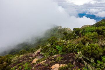 Fototapeta na wymiar Scenic view of Mount Longido against sky in rural Tanzania