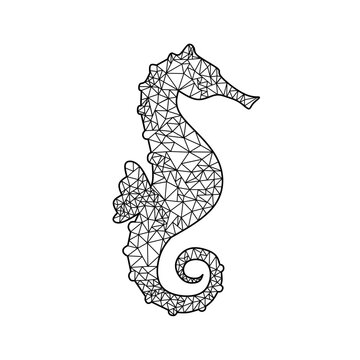 Hand drawn vector lineart seahorse