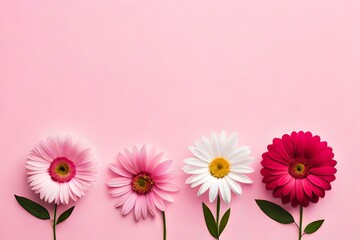 Pretty in Pink: A Top View of a Floral Composition on Pastel Background