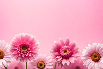 Pink Perfection: Top View of a Stunning Floral Arrangement on a Pastel Background