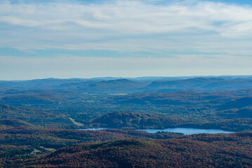 Maples in Canada (Autumn season)