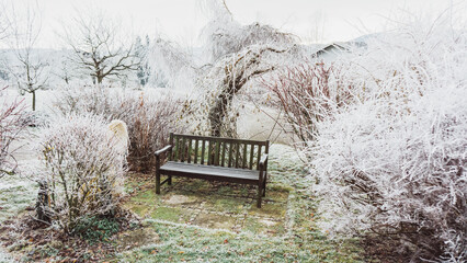 Lonely bench between winter park