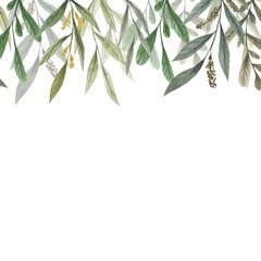 Greenery border isolated on white background. Wallpaper with herb and bushes branches with leaves in watercolor stylization. Hand drawn watercolor clipart