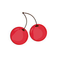 A red cherry on a white background