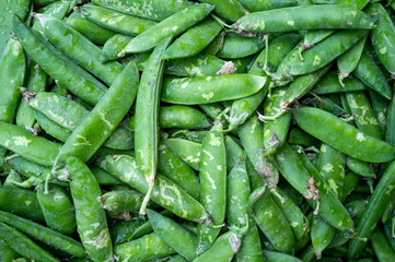 Close-up of a pile of fresh unshelled peas in pods