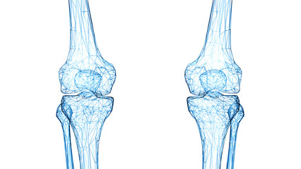 3d rendered medical illustration of a wireframe style knee joints - obrazy, fototapety, plakaty