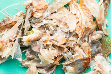 Bones and fish heads on green plastic board