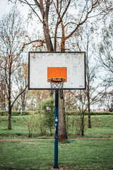 An old basketball hoop in a park. Trees are in the background.
