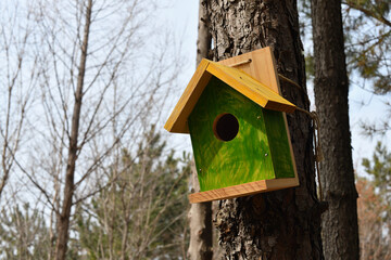 새집, birdhouse