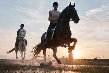 Foto op Plexiglas Some people go to therapy, we ride horses. Shot of two young women out horseback riding together. © Oostendorp/peopleimages.com