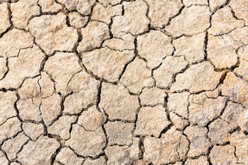 cracked soil textured background